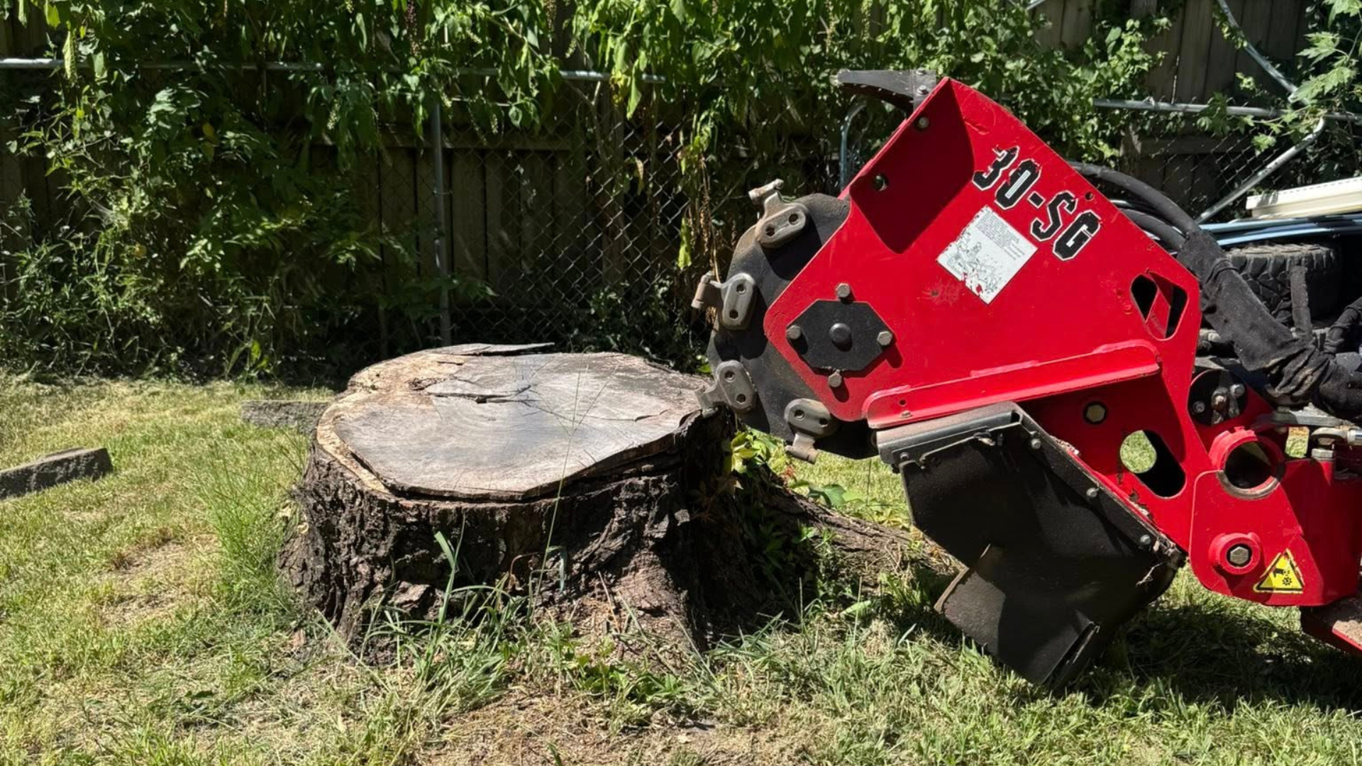 stumpgrinder